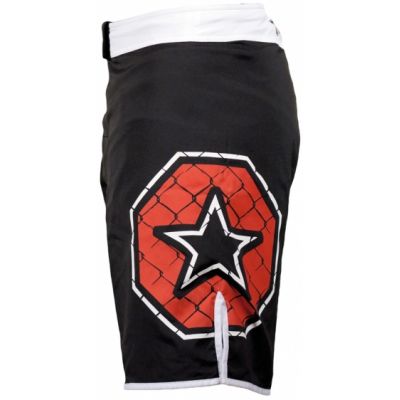 2. TOP TEN MMA-Shorts