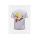 2. PEAK PERFORMANCE W Explore Grafik-T-Shirt für Damen in Grau