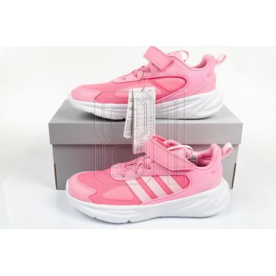 14. Adidas Ozelle El Jr GY7111 Schuhe
