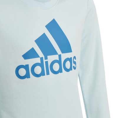 8. Adidas Big Logo Swt Jr HM8707 Sweatshirt