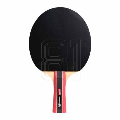 2. Cornilleau Sport 433000 Tischtennisschläger