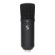 10. STAGG SUM45 Set - USB-Kondensatormikrofon