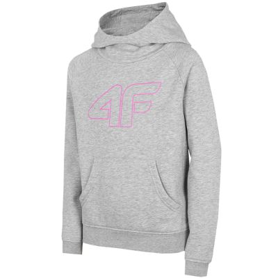 5. Sweatshirt 4F Jr HJZ22 JBLD002 25M