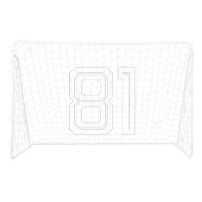 2. Goal with net and aiming panel Nils BR240P 2in1 240x150cm 10-10-821