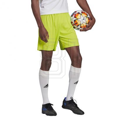 3. Adidas Entrada 22 M HC5061 Shorts
