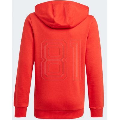 2. Adidas Essentials Big Logo Hoodie Jr GN4037 Sweatshirt