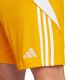 12. adidas Tiro 24 M JN4497 Shorts