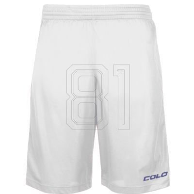 2. Colo Batch M ColoBatch11 Basketballshorts