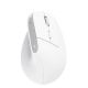 3. TRUST Bayo+ Kabellose ergonomische Multigeräte-Maus