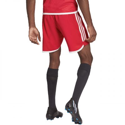 3. adidas Tiro 23 Competition Match Herrenshorts rot HL4790