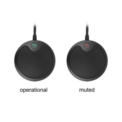 2. DeLOCK Omnidirektionales USB-Kondensatormikrofon für Konferenzen