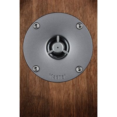 2. Magnat Monitor S10 D Lautsprechersäule aus Walnussholz (2 Stück)