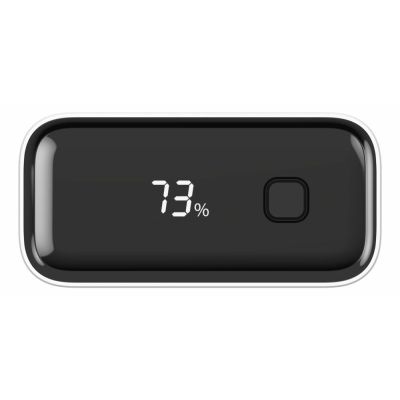 9. Ansmann PB222PD Lithium-Polymer-Akku (LiPo) 20000 mAh Weiß