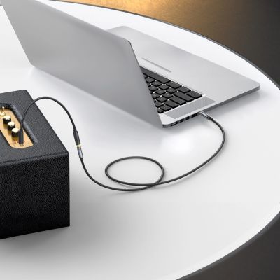 3. Ugreen AV118 10595 Kabel 3,5 mm Miniklinke (männlich) / 3,5 mm Miniklinke (weiblich) 3 m – Silber