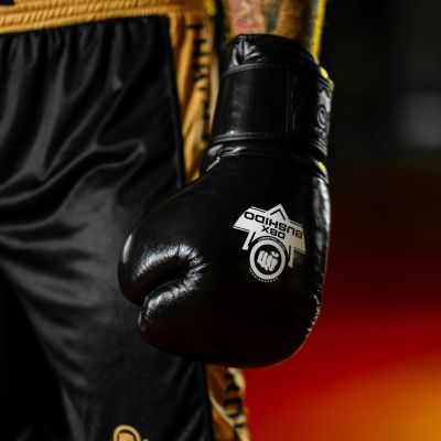 37. 16oz Boxhandschuhe - ProFight - Legacy Series