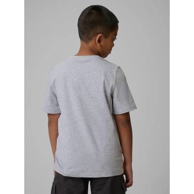 2. Normales bedrucktes Jungen-T-Shirt 4F 4FJRSS26TTSHM3599-10S