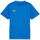 3. Puma TeamGoal Trikot für Kinder blau 658637 02
