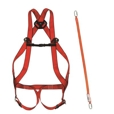 CLIMAX BASIC 10 PLUS Set + Stoßdämpfer 31A 30/30 + 2 Karabinerhaken