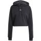 adidas Essentials French Terry Hoodie mit 3-Streifen-Print W JC6244
