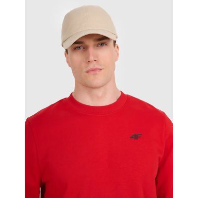 Herren Sweatshirt ohne Reißverschluss, ohne Kapuze, 4F 4FWMM00TSWSM1767-062S
