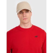 Herren Sweatshirt ohne Reißverschluss, ohne Kapuze, 4F 4FWMM00TSWSM1767-062S