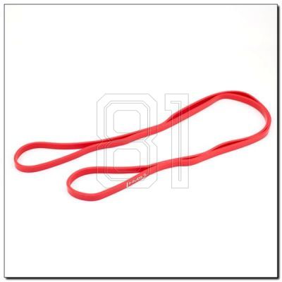 5. Übungsband HMS GU05 13 x 4,5 x 2080 MM 17-33-021