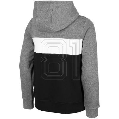 2. Sweatshirt 4F Jr HJZ22 JBLM003 24M