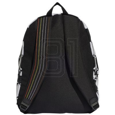 6. adidas Rucksack Pride RM IJ5437