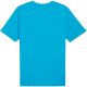 2. Puma Team Rise Logo Jersey Cotton M 658705 02