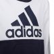 8. Adidas Colorblock Fleece Jr HC5659 Sweatshirt