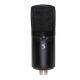 2. STAGG SUM60D - USB-Kondensatormikrofon