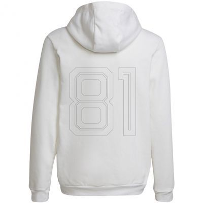 2. Sweatshirt adidas Entrada 22 Hoody Jr HG6303