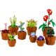 3. LEGO Icons 10329 - Kleine Pflanzen