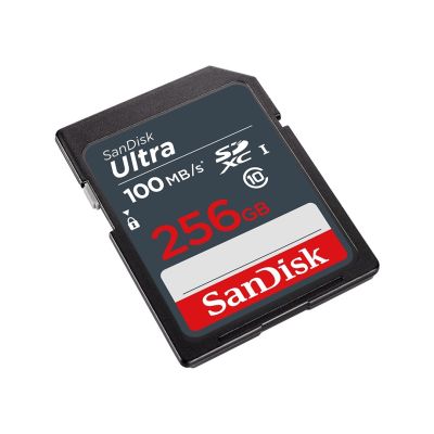 2. SANDISK ULTRA SDXC-KARTE 256 GB 100 MB/s