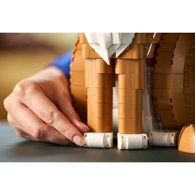 2. LEGO Ideas 21376 – Rote Katze