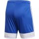 5. adidas Tastigo 19 Shorts M DP3682