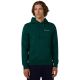 7. Champion Kapuzenpullover Grün 221790 GS584