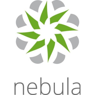 Zyxel Nebula Professional Pack Lizenz (pro Gerät), 1 JAHR