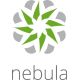 Zyxel Nebula Professional Pack Lizenz (pro Gerät), 1 JAHR