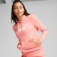 3. Puma ESS No. 1 Logo Hoodie W 682391 18