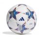 adidas UCL Pro IA0953 Ball