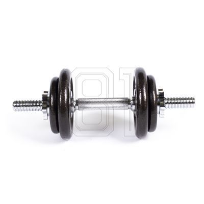 3. Profit Gusseisenhanteln 10kg DK 4126