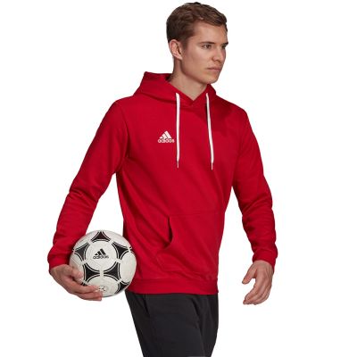 12. Adidas Entrada 22 Hoody M H57514 Sweatshirt
