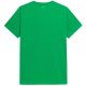 2. T-Shirt 4F M 4FSS23TTSHM311-41S