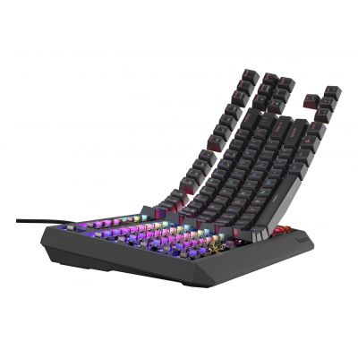 5. GENESIS Thor 230 TKL Gaming-Tastatur, USB, QWERTY, US-Englisch, Schwarz