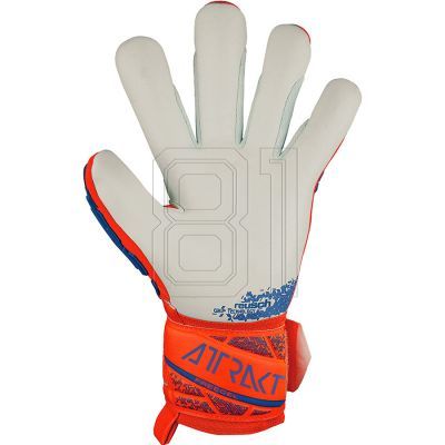 3. Reusch Attrakt Freegel Silver M 54 70 235 2210 gloves