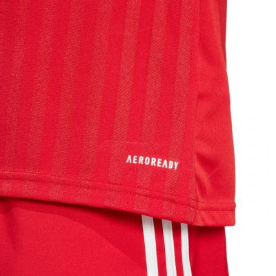 7. adidas Campeon 25 Trikot M JF6058