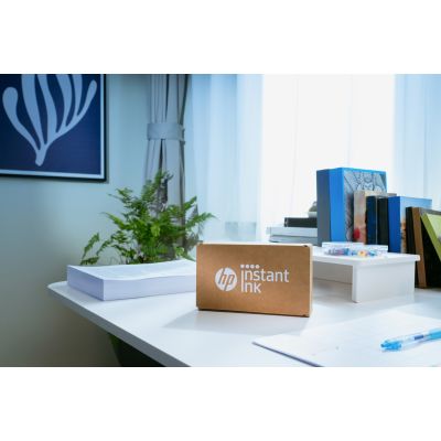 217. HP DeskJet 2920 All-in-One Drucker