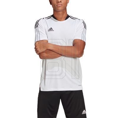 17. adidas Tiro 21 Trainingstrikot M GM7590