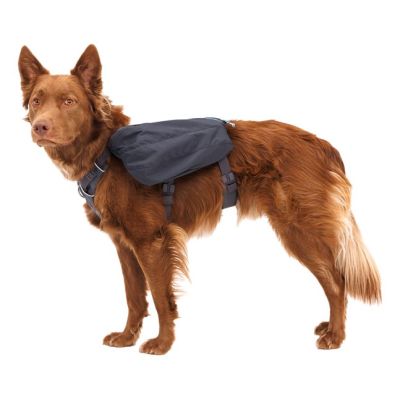 4. Ruffwear 50601-042S1 Satteltasche für Hunde XS Grau Polyester